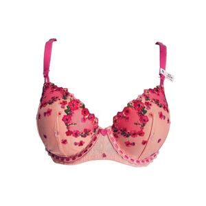 Victoria’s Secret Bra Dream Angels Demi 32DD Floral Embroidered Fairy Garden